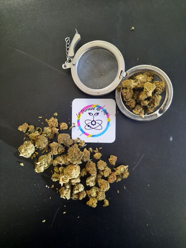 Critical Kush