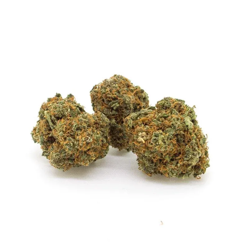 AK 47 - OutDoor