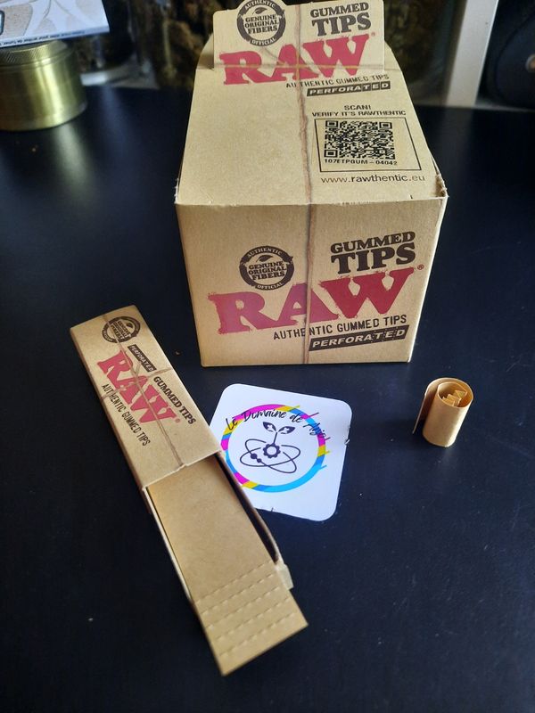 Filtres Carton RAW Gummed Perforés – 5.9 x 1.8 cm