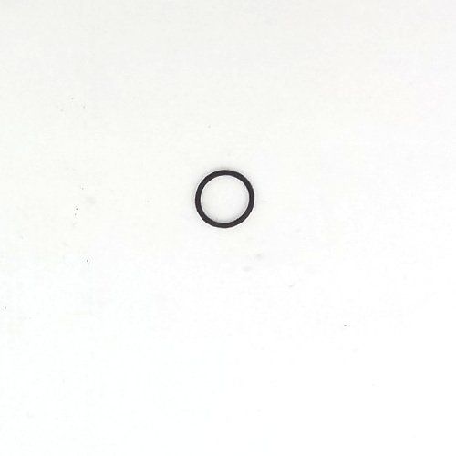 O-Ring-IC