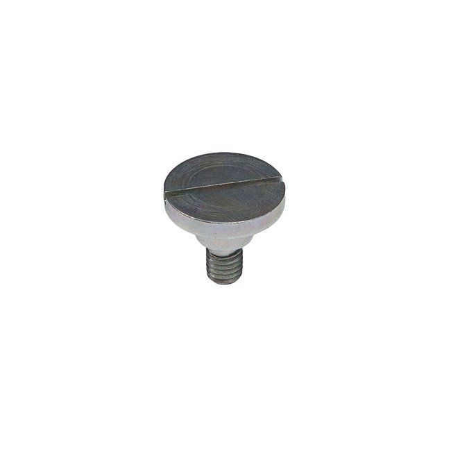 Rail Hinge Screw