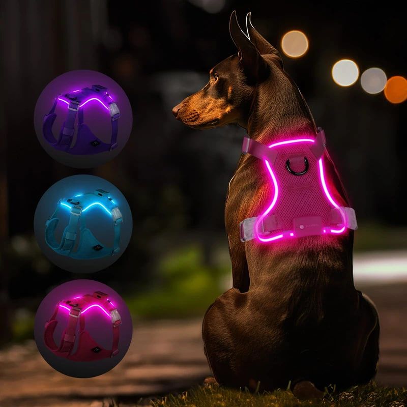 Light Up Dog Harness, Rechargeable LED Dog Harness for Puppy