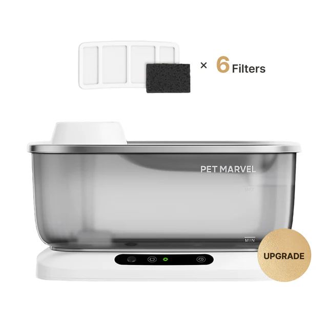 Cordless Dog Water Fountain