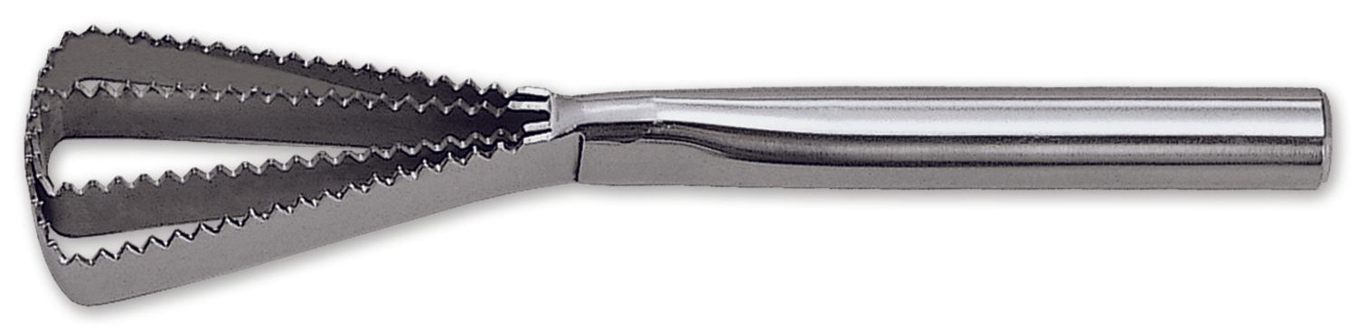 Escamador 26cm inox.