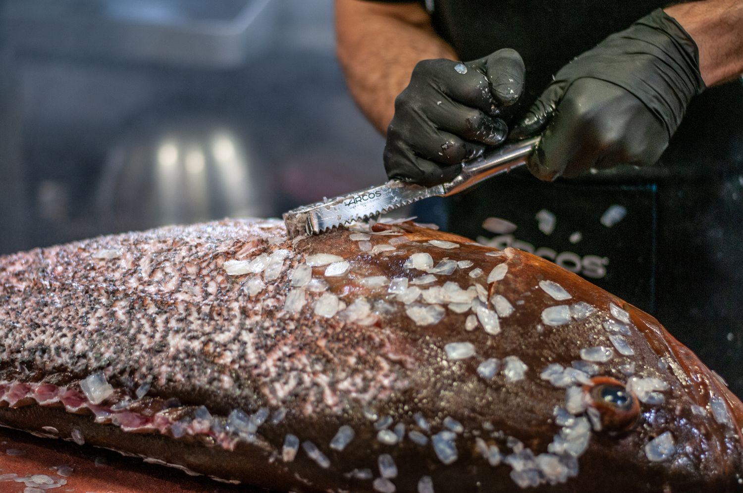 Escamador Arcos Profesional.