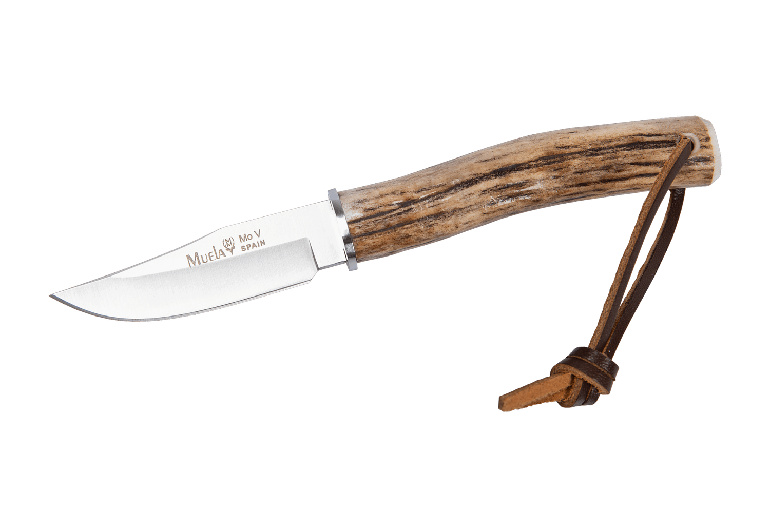 Cuchillo Muela BW-6A.