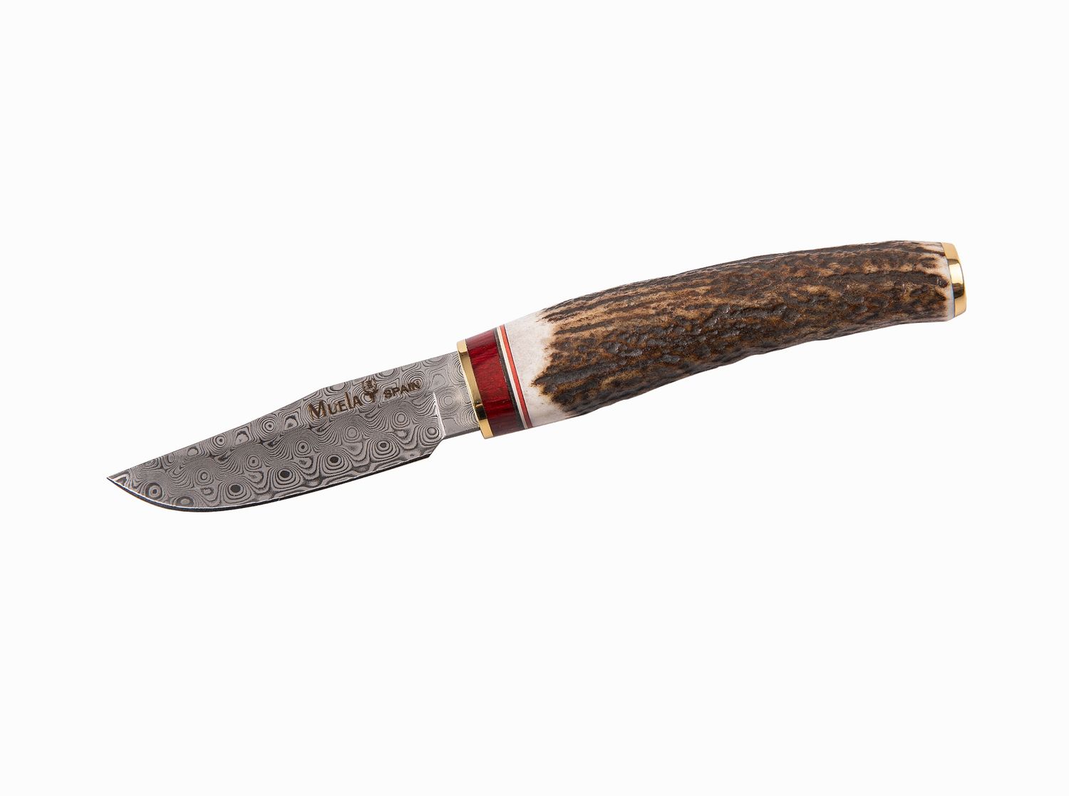 Cuchillo Muela BW-6DAM.
