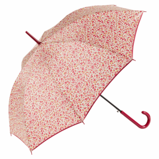 Paraguas Largo Floral. 