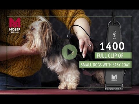 Máquina Moser1400 Animal.