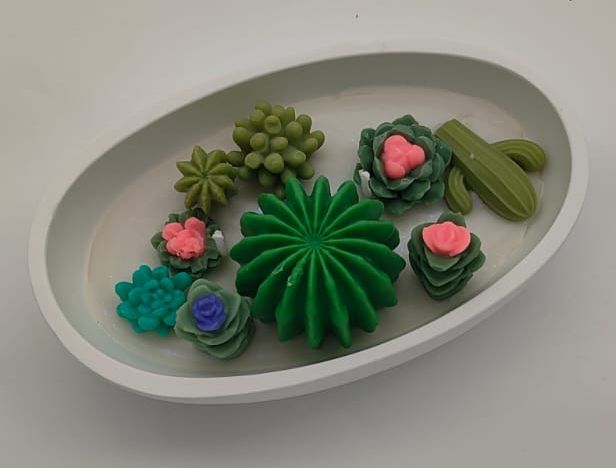 Succulent plants candle composition 2n