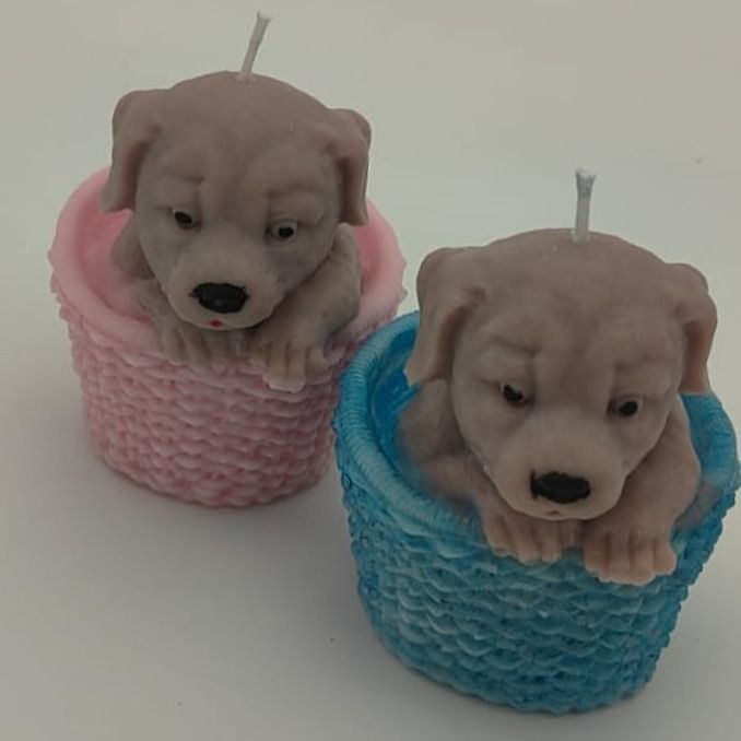 Dog puppies / Cuccioli