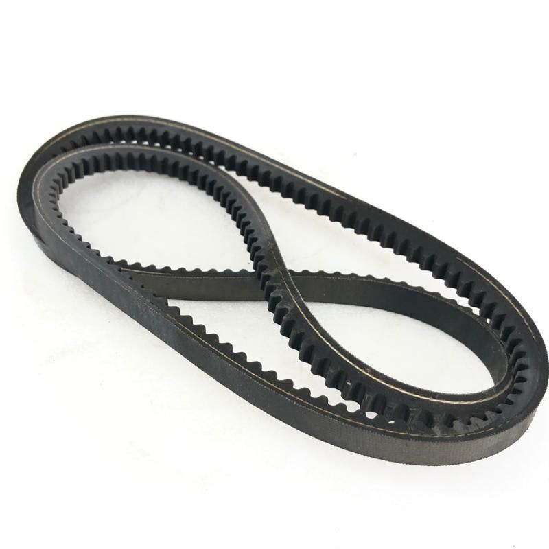 CINGHIA ALTERNATORE LANDINI CODICE:3674243M1