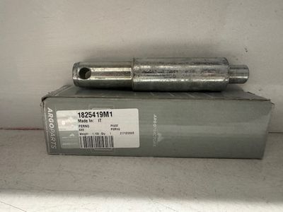 PERNO INFERIORE SOLLEVATORE LANDINI CODICE:1825419M1 PERNO INFERIORE SOLLEVATORE LANDINI CODICE:1825419M1