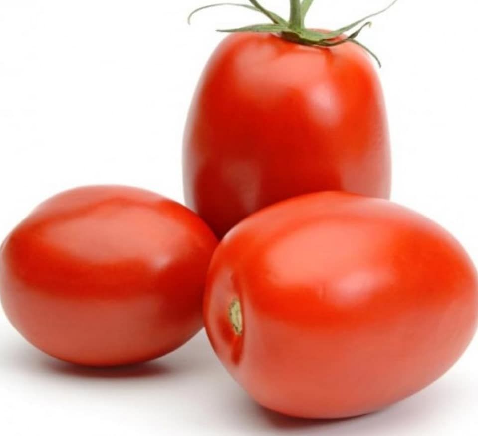 PO-Reg-Tomatoes-Roma x25lbs