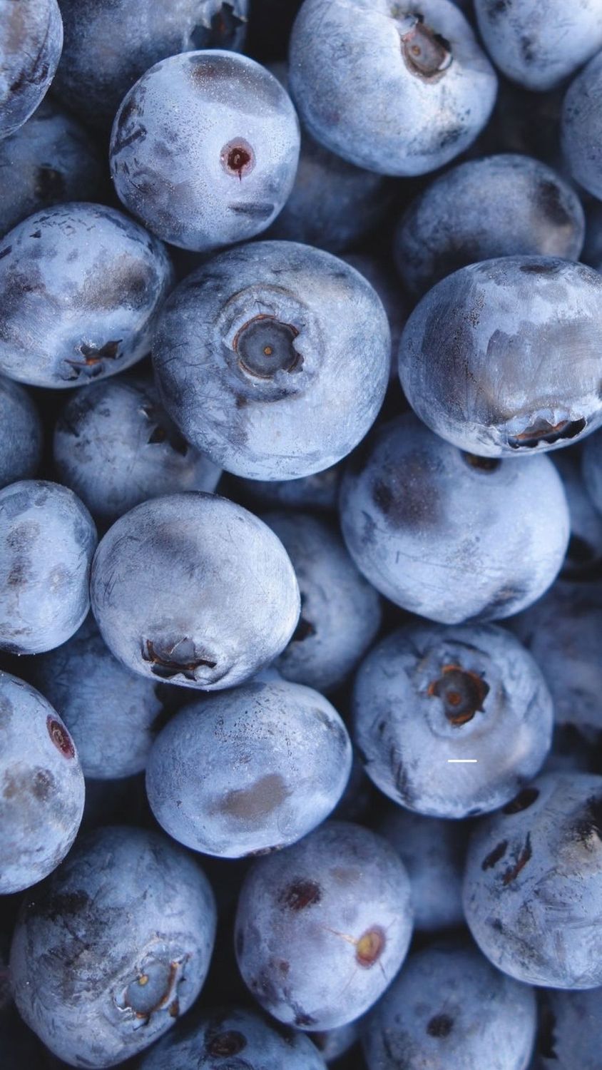 PO-Reg-Blueberries x5lbs