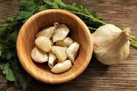 PO-Reg-Garlic x10lbs