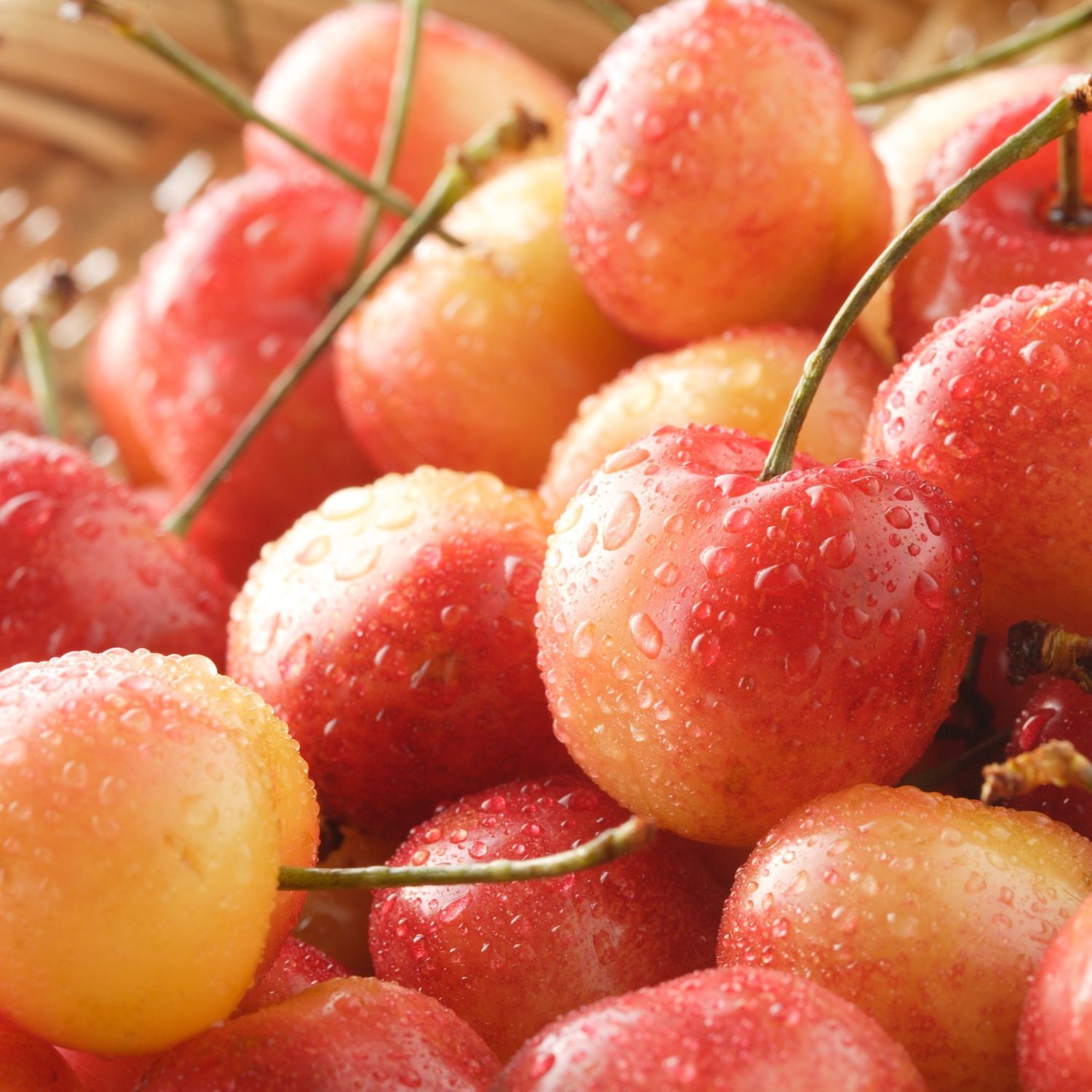 PO-Reg-Cherries-Rainier x20lbs