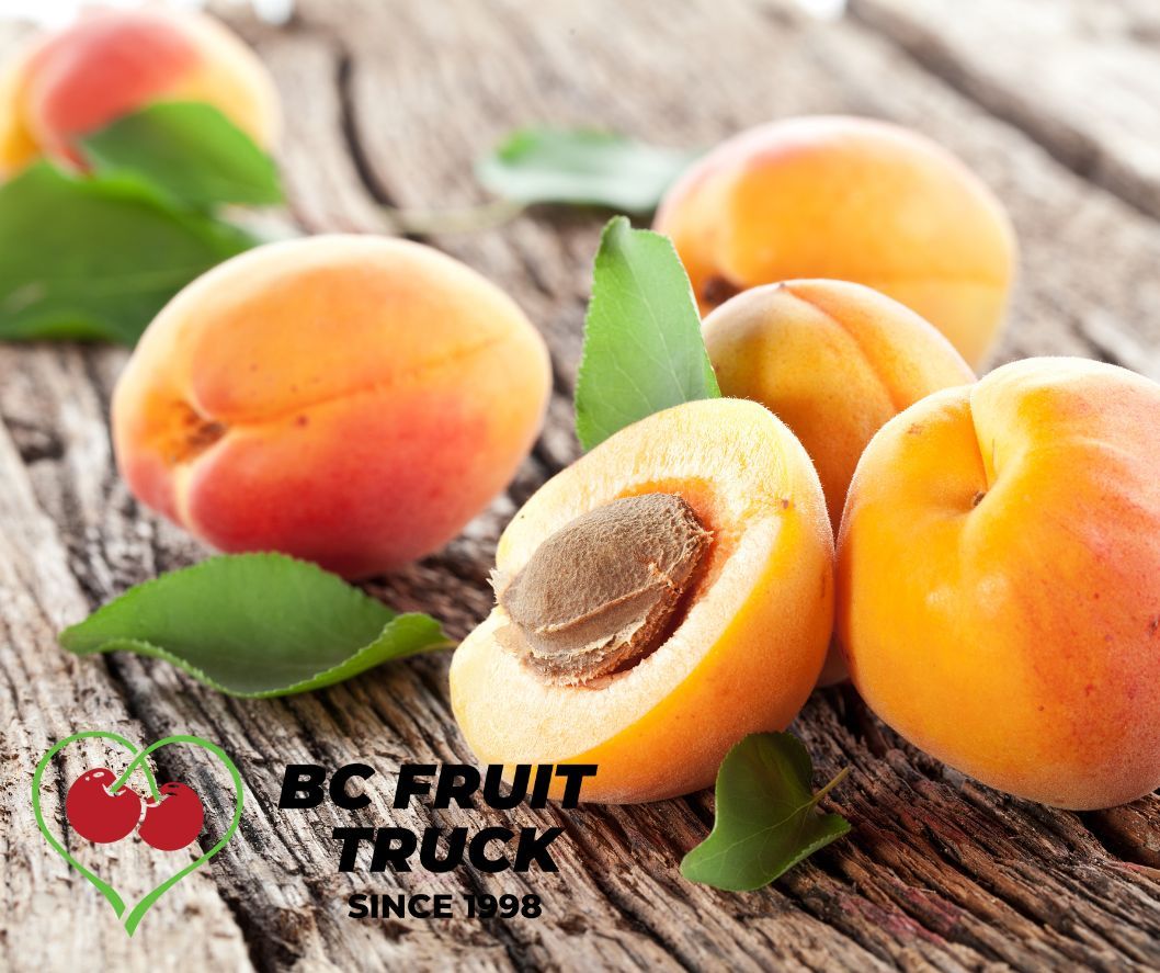 PO-Reg-Apricots x20lbs