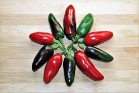 PO-Reg-Jalapenos x5lbs