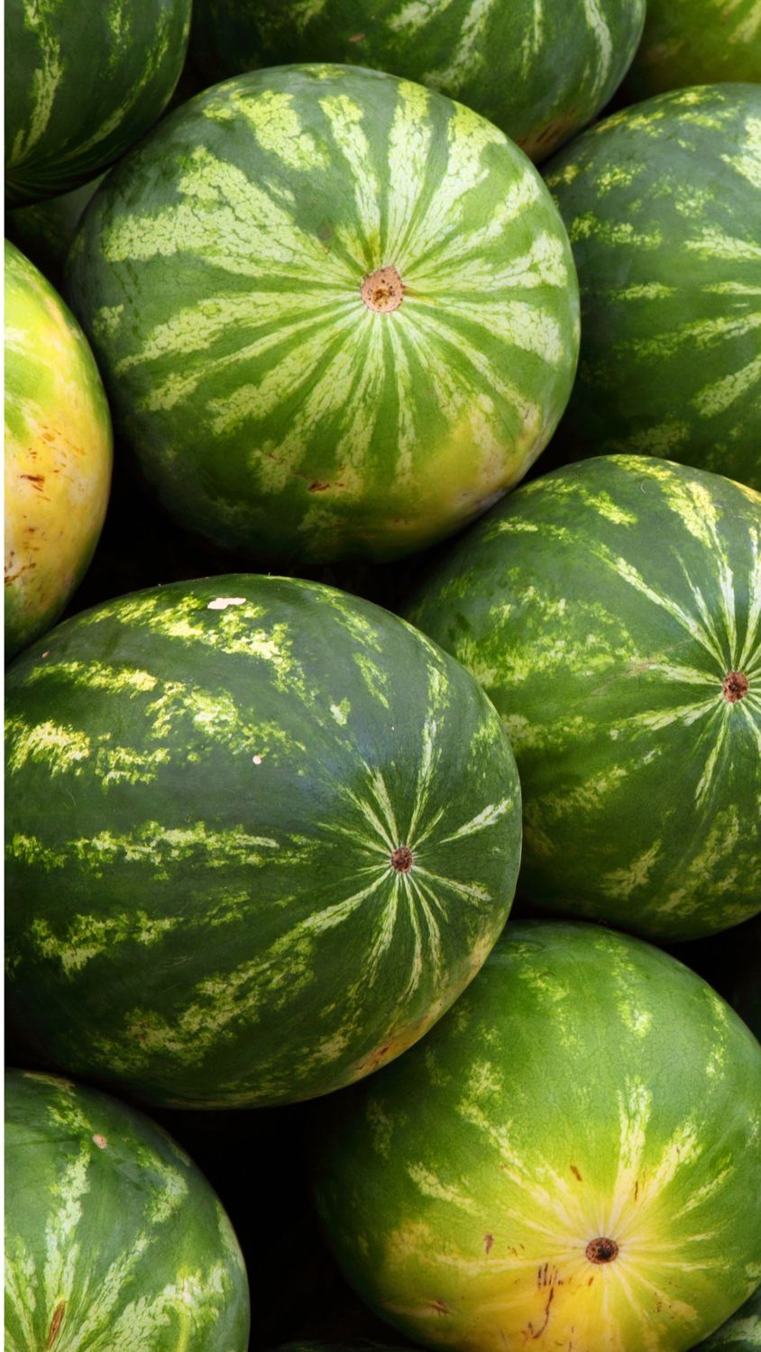PO-Reg-Watermelons-Yellow x10lbs