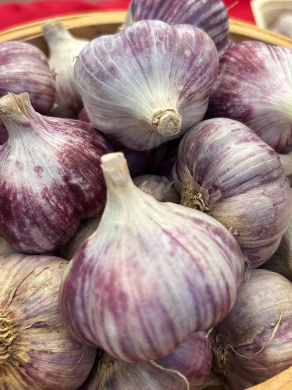 PO-Org-Garlic x10lbs