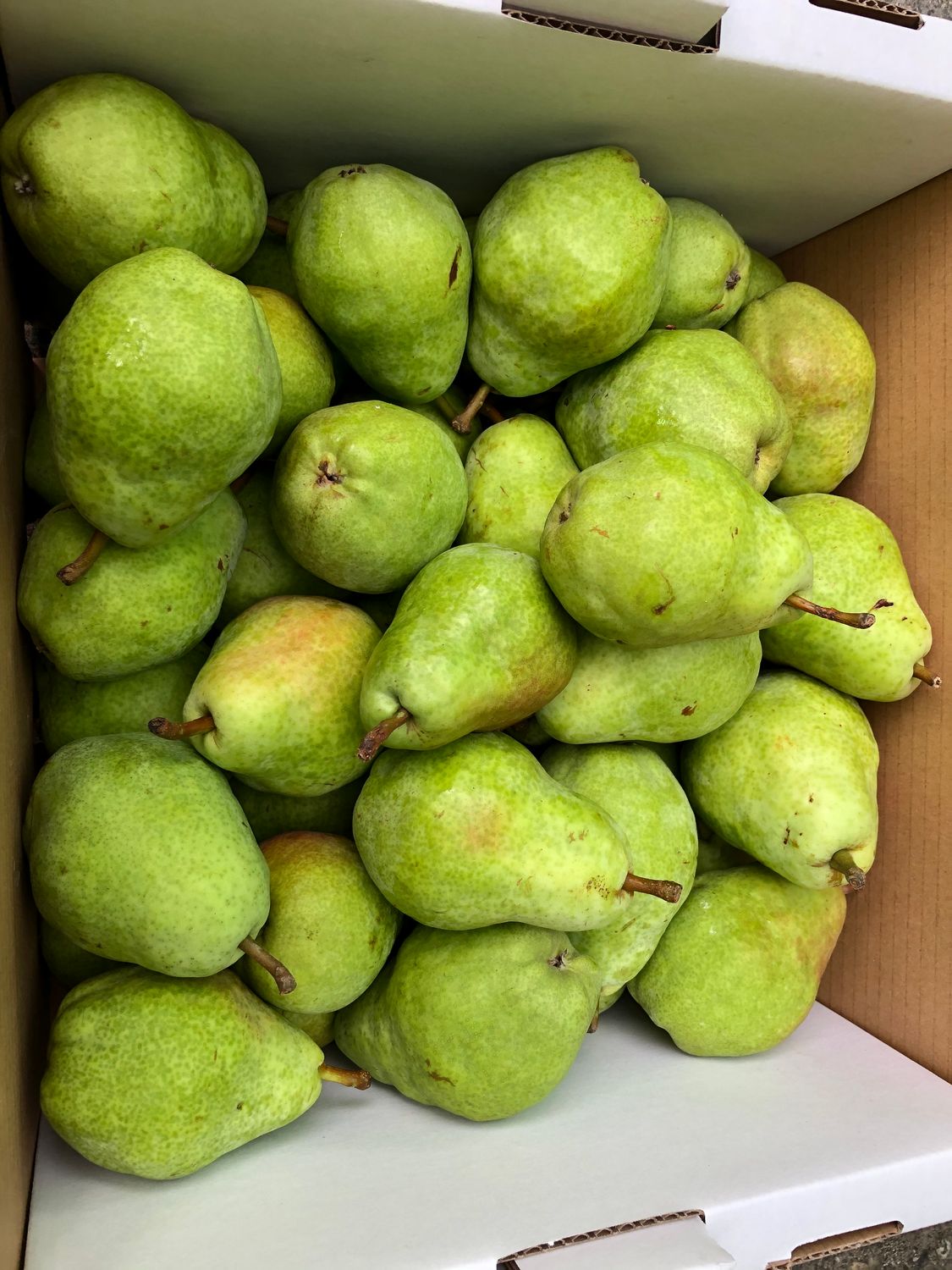 PO-Reg-Pears-Bartlett x40lbs