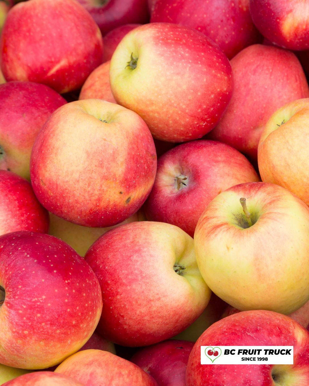 PO-Reg-Apples-Sunrise x40lbs