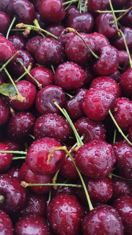 PO-Reg-Cherries-Dark x18lbs