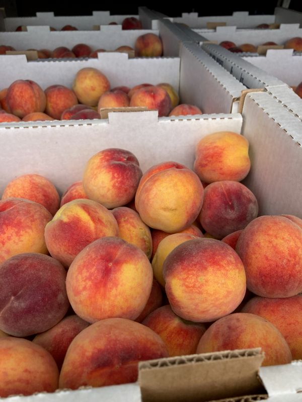PO-Org-Peach-Freestone x18bs