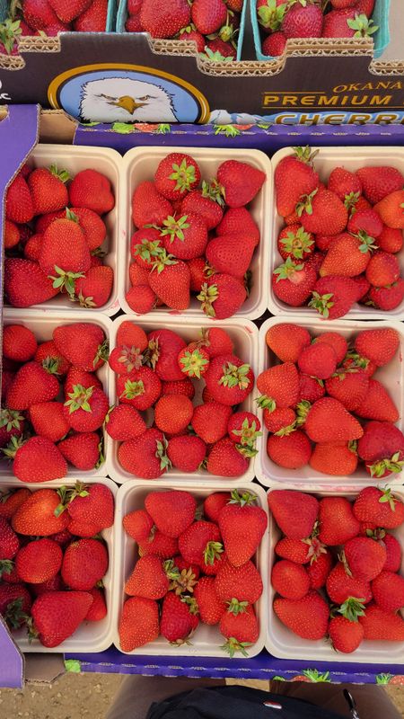 PO-Reg-Strawberries x10lbs