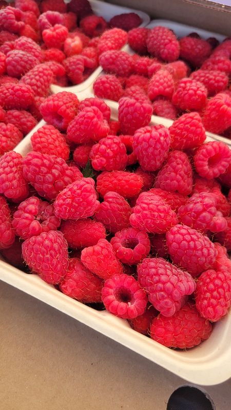 PO-Reg-Raspberries x10lbs