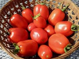 PO-Reg-Tomatoes-Roma x20lbs