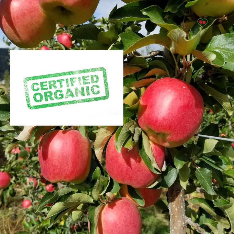 PO-Org-Apples-Ambrosia- x 40 lbs