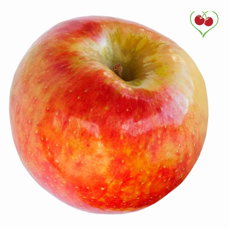 PO-Reg-Apples-Honey Crisp - x 40 lbs