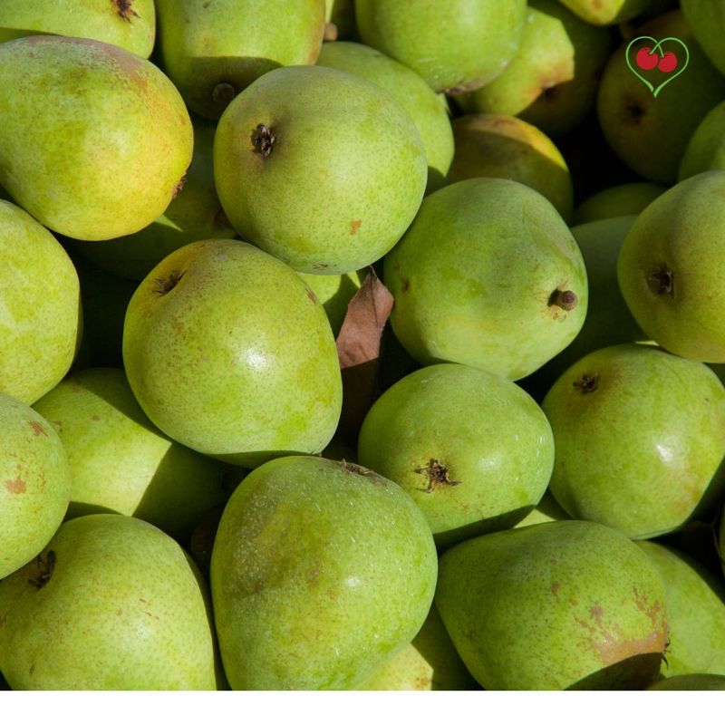 PO-Reg-Pears-Anjou - x 40 lbs