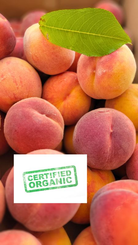 PO-Org-Peach-Freestone x9lbs
