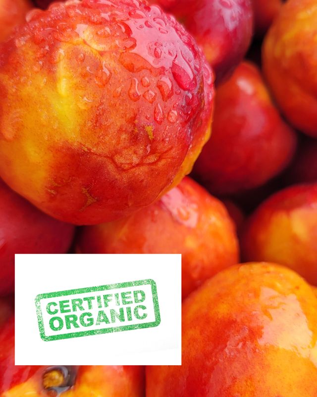 PO-Org-Nectarines x10lbs