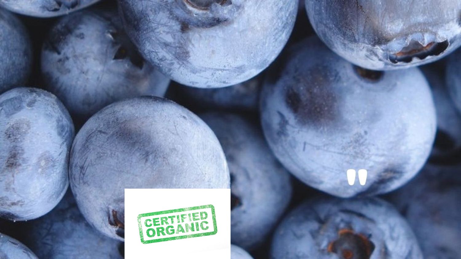PO-Org-Blueberries x10lbs