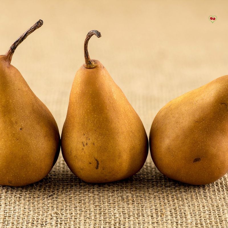 PO-Reg-Pears-Bosc x20lbs