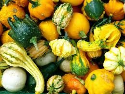 PO-Reg-Squash-Assorted x30lb
