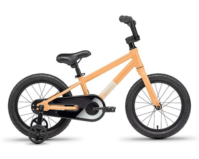 Batch 16&quot; Rose kids bike