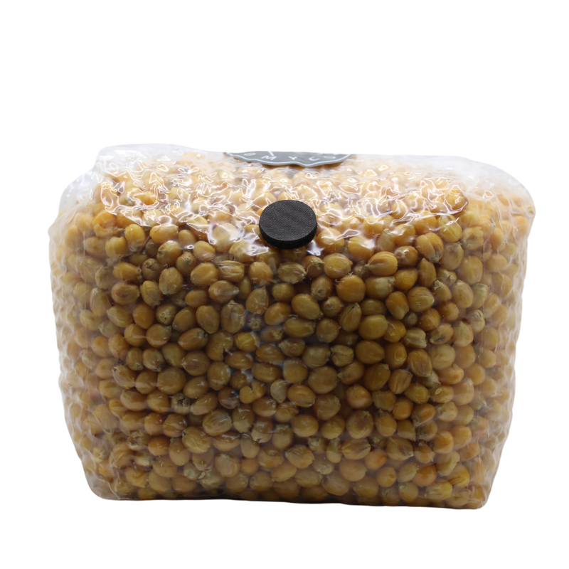 3lb Pre-Sterilized Organic Popcorn Grain Spawn