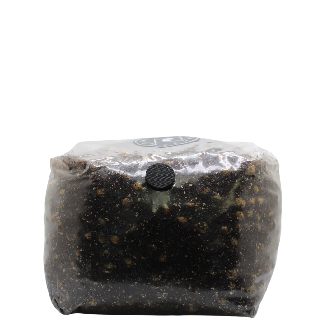 All-In-One Grow Bag - 3lb