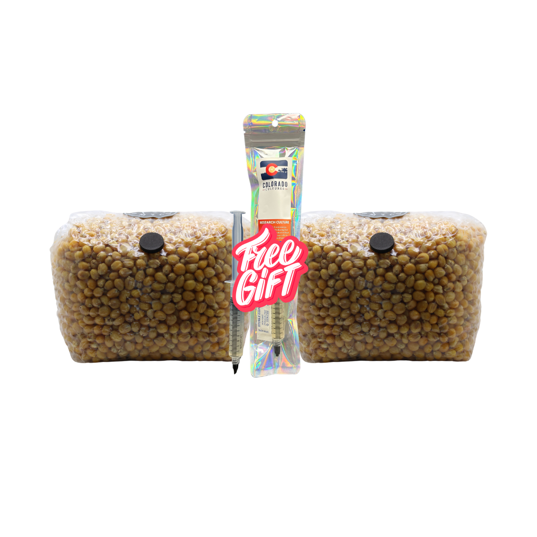 2 Pack + Free House LC - 3lb Pre-Sterilized Organic Popcorn Grain Spawn