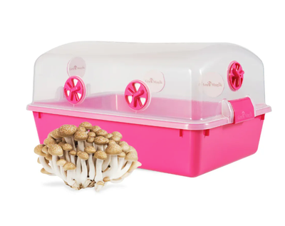 Grow Kits