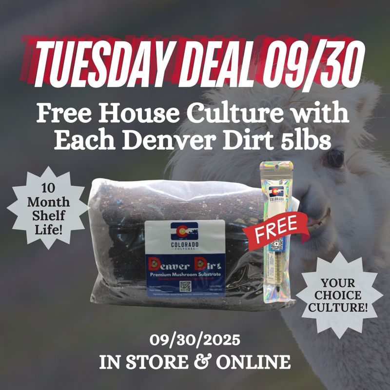 4 Pack - 20lbs Denver Dirt Premium Mushroom Substrate