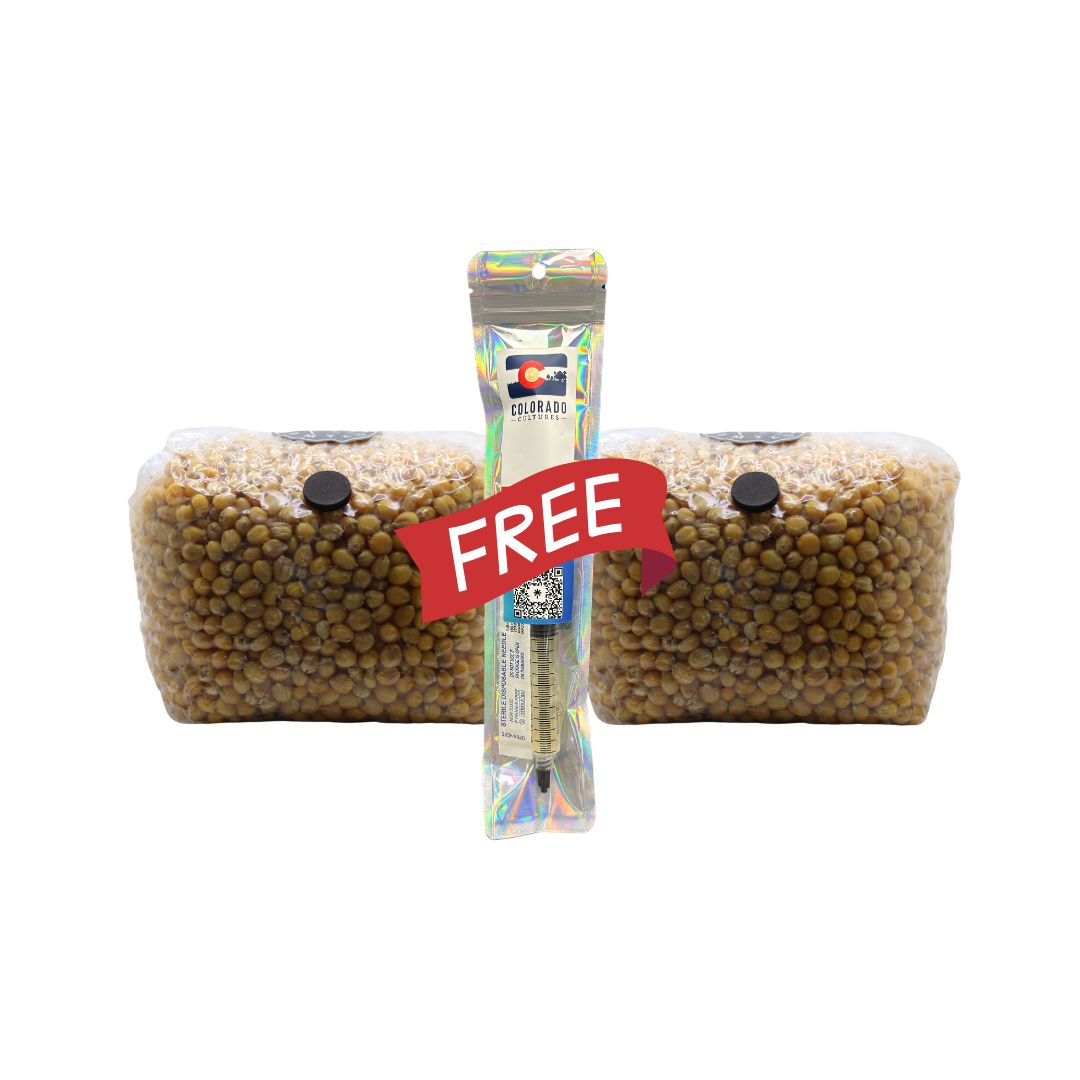 2 Pack + Free House LC - 3lb Pre-Sterilized Organic Popcorn Grain Spawn