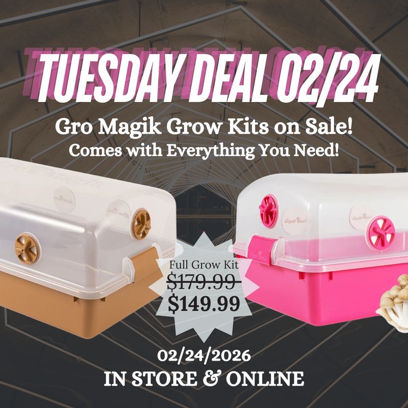 Tuesday Deal - Gro Magik Grow Kits