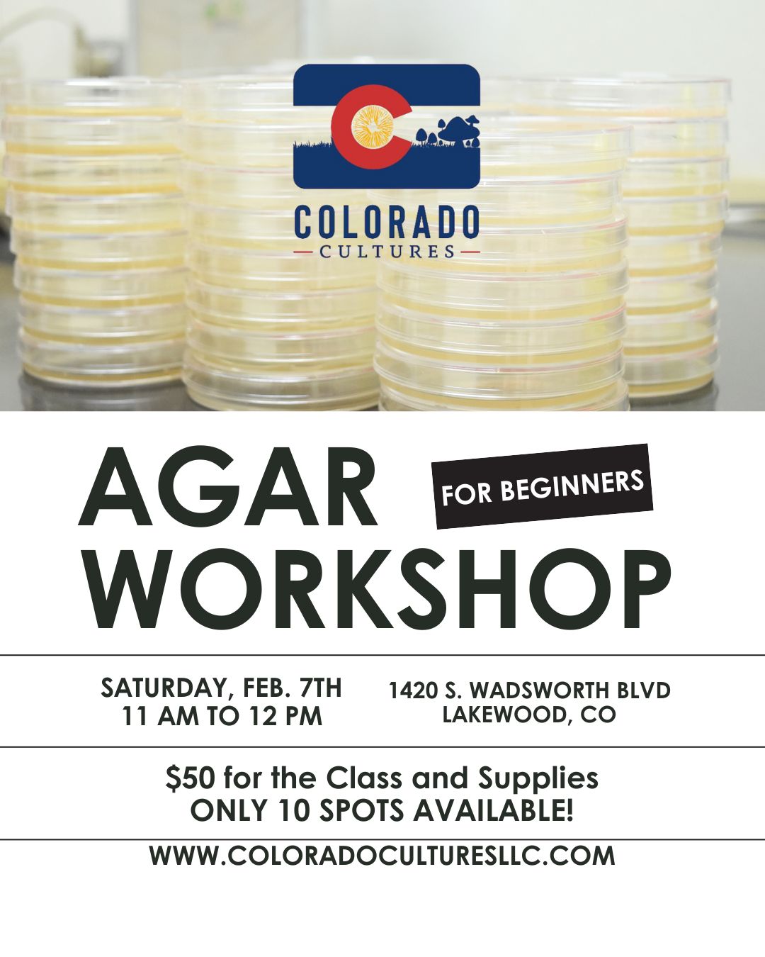 Agar Workshop for Beginners