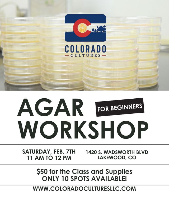 Agar Workshop for Beginners